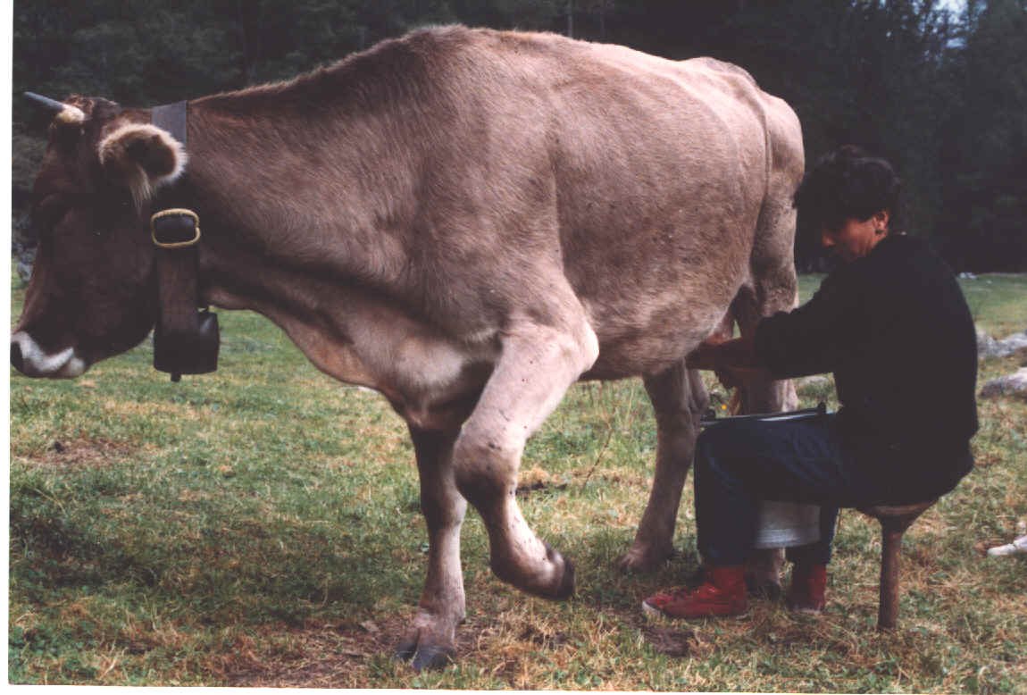 Ventimigilia.jpg